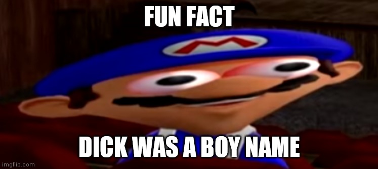 smg4 stare | FUN FACT; DICK WAS A BOY NAME | image tagged in smg4 stare | made w/ Imgflip meme maker