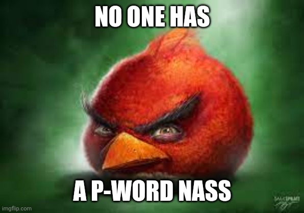 Realistic Red Angry Birds | NO ONE HAS A P-WORD NASS | image tagged in realistic red angry birds | made w/ Imgflip meme maker