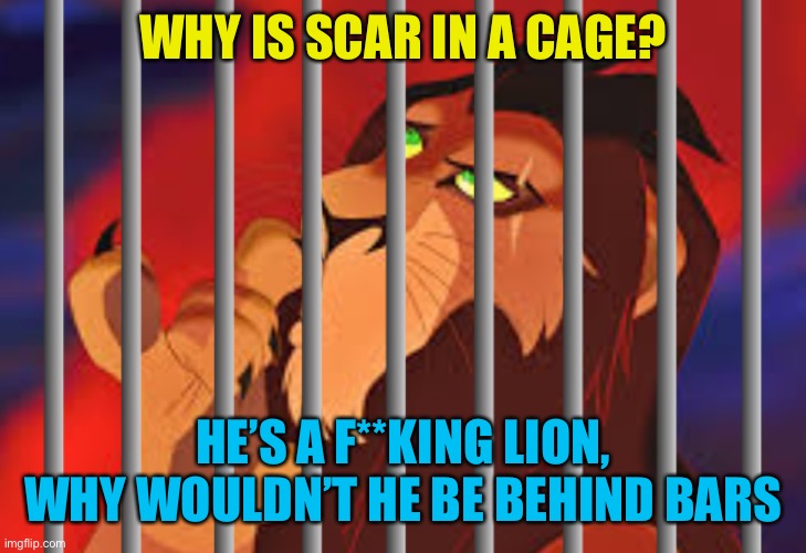 Making a fine jail house wife This may or may not be connected to him stealing some of my cocaine | WHY IS SCAR IN A CAGE? HE’S A F**KING LION, WHY WOULDN’T HE BE BEHIND BARS | made w/ Imgflip meme maker