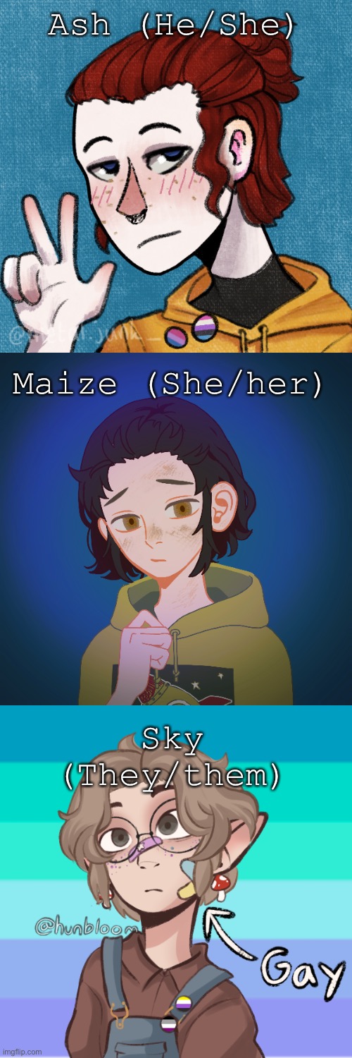 Ash (He/She) Maize (She/her) Sky (They/them) | made w/ Imgflip meme maker