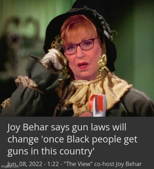 If she only had a brain | image tagged in joy behar scarecrow,trump derangement syndrome,scumbag brain,intelligence,well yes but actually no | made w/ Imgflip meme maker