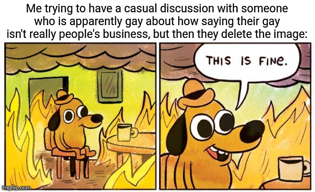 If you think about it, why do other people need to know you aren't straight? | Me trying to have a casual discussion with someone who is apparently gay about how saying their gay isn't really people's business, but then they delete the image: | image tagged in memes,this is fine | made w/ Imgflip meme maker