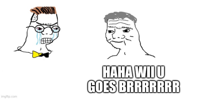 nooo haha go brrr | HAHA WII U GOES BRRRRRRR | image tagged in nooo haha go brrr | made w/ Imgflip meme maker