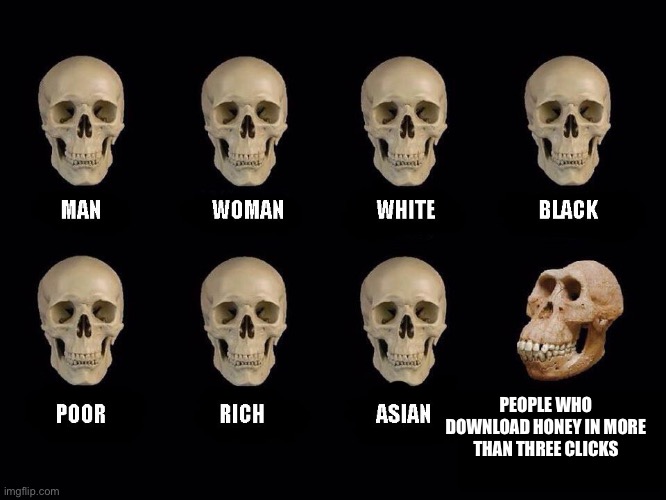 empty skulls of truth |  PEOPLE WHO DOWNLOAD HONEY IN MORE THAN THREE CLICKS | image tagged in empty skulls of truth | made w/ Imgflip meme maker
