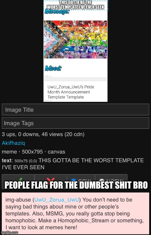 It’s just a template. Dont flag shit because of it. You just look like a 9 year old | PEOPLE FLAG FOR THE DUMBEST SHIT BRO | made w/ Imgflip meme maker