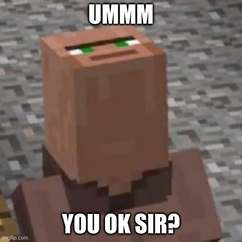 Cursed Villager | UMMM; YOU OK SIR? | image tagged in minecraft,minecraft villagers,cursed image,you ok sir | made w/ Imgflip meme maker