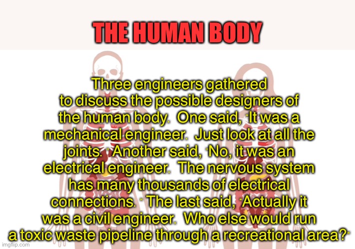 The Human Body | Three engineers gathered to discuss the possible designers of the human body. One said, "It was a mechanical engineer. Just look at all the joints." Another said, "No, it was an electrical engineer. The nervous system has many thousands of electrical connections." The last said, "Actually it was a civil engineer. Who else would run a toxic waste pipeline through a recreational area?"; THE HUMAN BODY | image tagged in human body,engineers,design,responsible | made w/ Imgflip meme maker