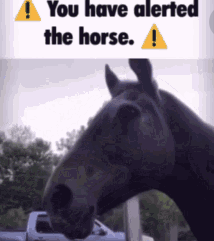 You have alerted the horse. (Static) Blank Meme Template