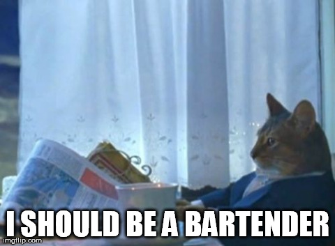 I Should Buy A Boat Cat | I SHOULD BE A BARTENDER | image tagged in memes,i should buy a boat cat,AdviceAnimals | made w/ Imgflip meme maker