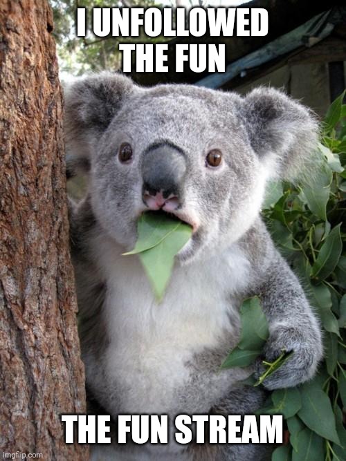 Surprised Koala Meme | I UNFOLLOWED THE FUN; THE FUN STREAM | image tagged in memes,surprised koala | made w/ Imgflip meme maker