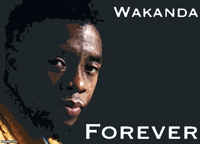 Wakanda Forever R.I.P. Chadwick Boseman | image tagged in wakanda forever r i p chadwick boseman | made w/ Imgflip meme maker