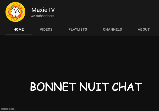 maxietv temp | BONNET NUIT CHAT | image tagged in maxietv temp | made w/ Imgflip meme maker