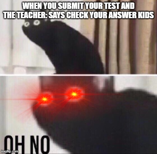 oh poop | WHEN YOU SUBMIT YOUR TEST AND THE TEACHER: SAYS CHECK YOUR ANSWER KIDS | image tagged in oh no cat,school,teacher | made w/ Imgflip meme maker