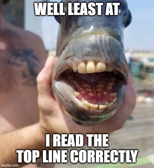 Illusion | WELL LEAST AT; I READ THE TOP LINE CORRECTLY | image tagged in well at least british fish | made w/ Imgflip meme maker