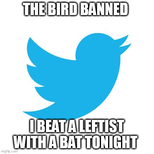 Twitter birds says | THE BIRD BANNED; I BEAT A LEFTIST WITH A BAT TONIGHT | image tagged in twitter birds says | made w/ Imgflip meme maker
