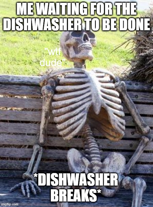 Waiting Skeleton | ME WAITING FOR THE DISHWASHER TO BE DONE; "wtf dude"; *DISHWASHER BREAKS* | image tagged in memes,waiting skeleton | made w/ Imgflip meme maker