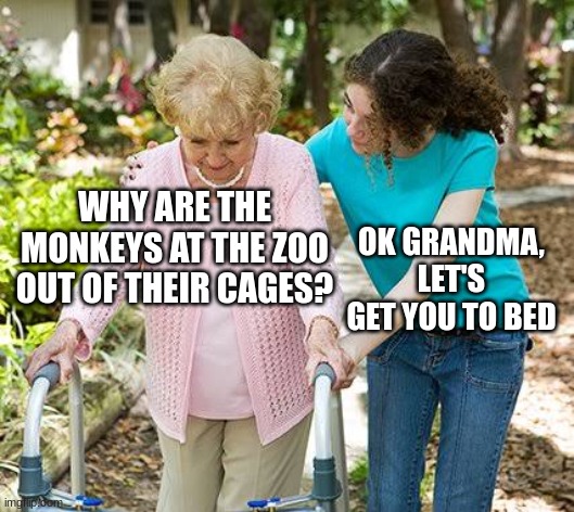 ,_, | WHY ARE THE MONKEYS AT THE ZOO OUT OF THEIR CAGES? OK GRANDMA, LET'S GET YOU TO BED | image tagged in sure grandma let's get you to bed,memes,offensive,dark | made w/ Imgflip meme maker