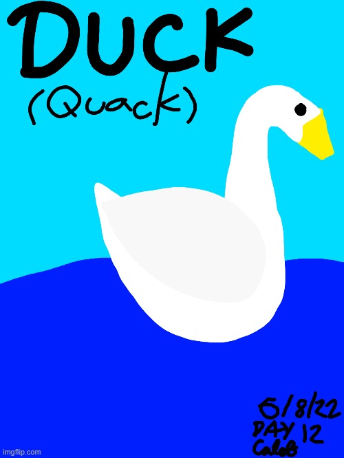 Duck | made w/ Imgflip meme maker