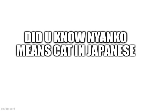 the more u know | DID U KNOW NYANKO MEANS CAT IN JAPANESE | image tagged in blank white template,fax,memes,funny,cat,japanese | made w/ Imgflip meme maker
