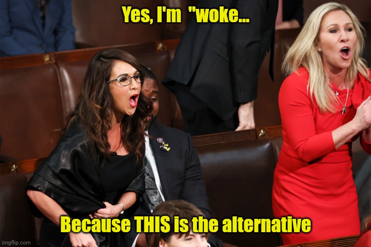 Republican Karens | Yes, I'm  "woke... Because THIS is the alternative | image tagged in republican karens | made w/ Imgflip meme maker