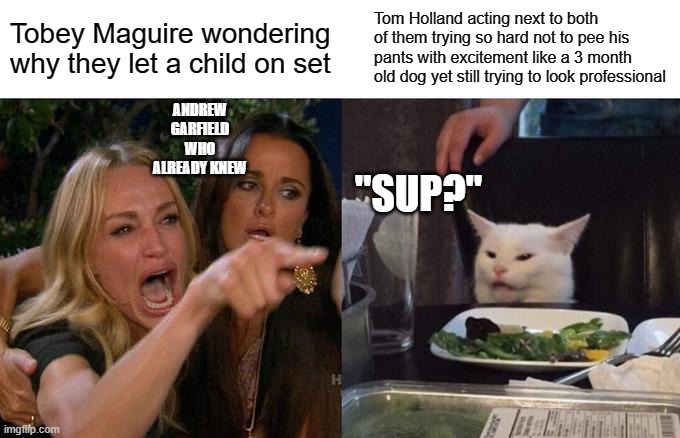 Woman Yelling At Cat | Tobey Maguire wondering why they let a child on set; Tom Holland acting next to both of them trying so hard not to pee his pants with excitement like a 3 month old dog yet still trying to look professional; ANDREW GARFIELD WHO ALREADY KNEW; "SUP?" | image tagged in memes,woman yelling at cat | made w/ Imgflip meme maker