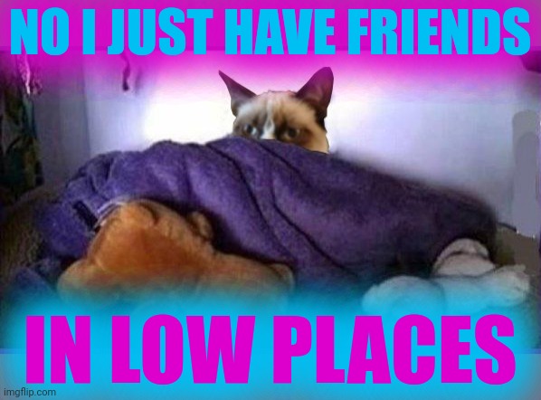 Making Plans Grumpy | NO I JUST HAVE FRIENDS IN LOW PLACES | image tagged in making plans grumpy | made w/ Imgflip meme maker