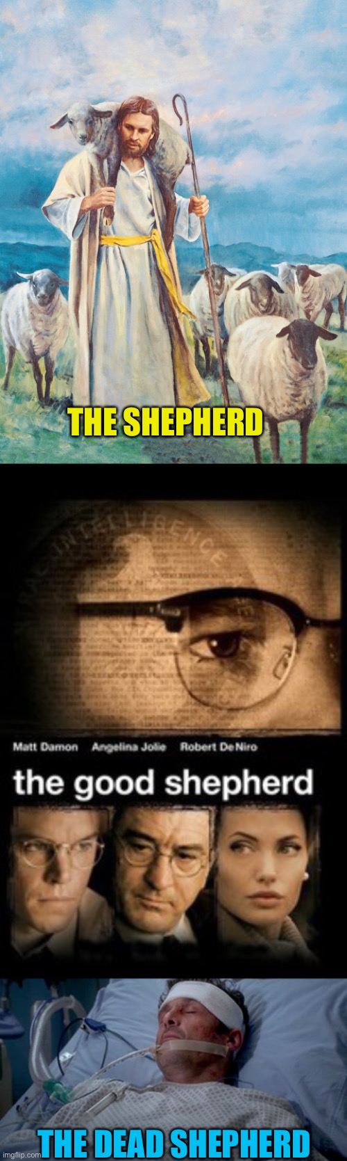 Funny greys anatomy | THE SHEPHERD; THE DEAD SHEPHERD | image tagged in dead | made w/ Imgflip meme maker