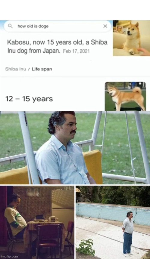 I hope hes still alive | image tagged in memes,sad pablo escobar,sad,doge,buff doge vs cheems | made w/ Imgflip meme maker