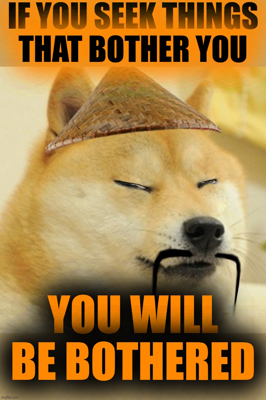 Barkfucius asian Doge Barkfucious | IF YOU SEEK THINGS
 THAT BOTHER YOU; YOU WILL BE BOTHERED | image tagged in barkfucius asian doge barkfucious | made w/ Imgflip meme maker