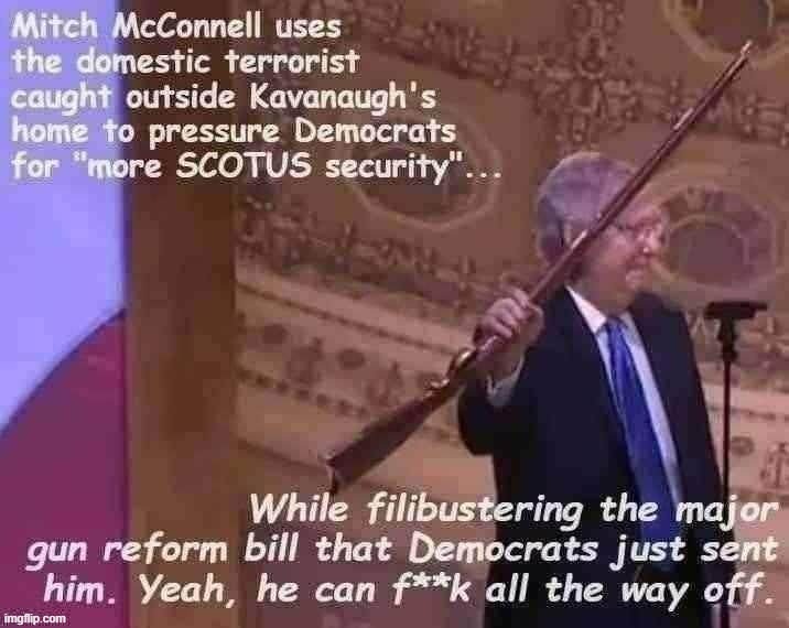 Troll of the Day: Mitch McConnell | image tagged in mitch mcconnell gun control troll | made w/ Imgflip meme maker