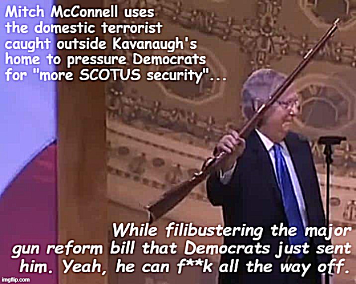 McConnell shills for more security theater for America's most powerful: and nothing at all for our children being killed daily. | image tagged in mitch mcconnell gun control troll | made w/ Imgflip meme maker