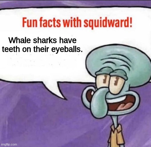 Fun Facts with Squidward | Whale sharks have teeth on their eyeballs. | image tagged in fun facts with squidward,memes,funny,fun fact | made w/ Imgflip meme maker