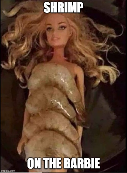 Shrimp on the Barbie |  SHRIMP; ON THE BARBIE | image tagged in shrimp,barbie | made w/ Imgflip meme maker