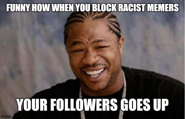 it's awesome! | FUNNY HOW WHEN YOU BLOCK RACIST MEMERS; YOUR FOLLOWERS GOES UP | image tagged in memes,yo dawg heard you | made w/ Imgflip meme maker