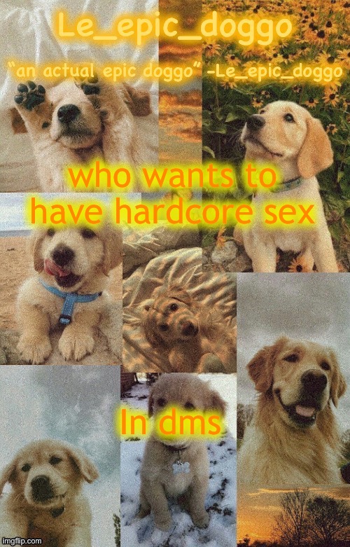 Doggo temp by doggo. Wait what that’s confusing | who wants to have hardcore sex; In dms | image tagged in doggo temp by doggo wait what that s confusing | made w/ Imgflip meme maker