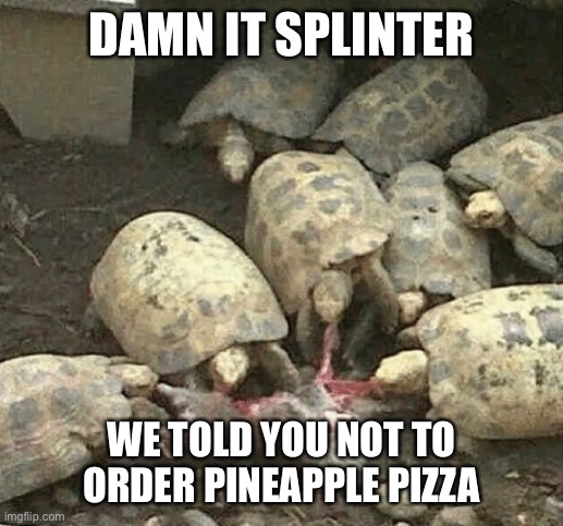When Splinter brings home pineapple pizza |  DAMN IT SPLINTER; WE TOLD YOU NOT TO ORDER PINEAPPLE PIZZA | image tagged in tmnt,teenage mutant ninja turtles,memes,funny memes,turtles,turtle | made w/ Imgflip meme maker
