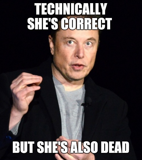 you can't merge!!! |  TECHNICALLY SHE'S CORRECT; BUT SHE'S ALSO DEAD | image tagged in musk,car accident | made w/ Imgflip meme maker