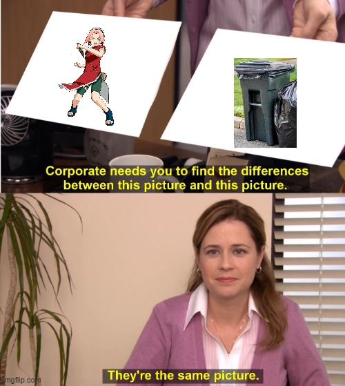 They're The Same Picture | image tagged in memes,they're the same picture | made w/ Imgflip meme maker
