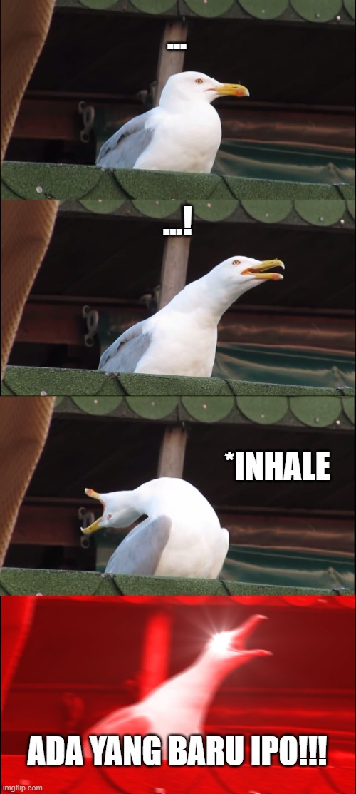 sTOCK sEAGULL | ... ...! *INHALE; ADA YANG BARU IPO!!! | image tagged in memes,inhaling seagull | made w/ Imgflip meme maker