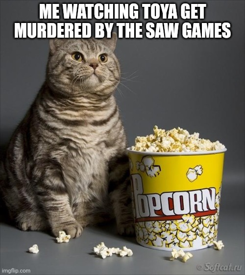 Cat eating popcorn | ME WATCHING TOYA GET MURDERED BY THE SAW GAMES | image tagged in cat eating popcorn | made w/ Imgflip meme maker