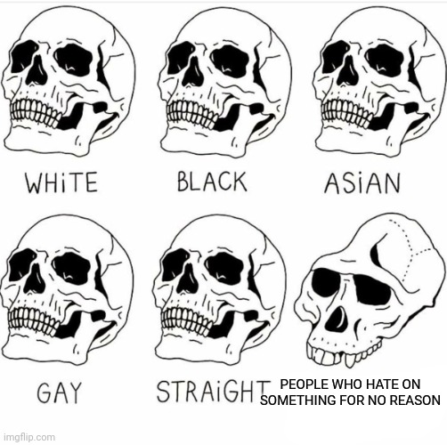 I hate that kind of people | PEOPLE WHO HATE ON SOMETHING FOR NO REASON | image tagged in skull comparison | made w/ Imgflip meme maker