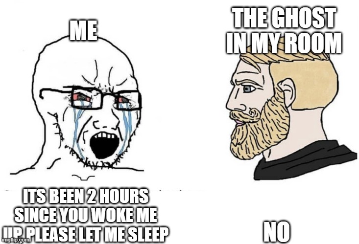 shitpost status | THE GHOST IN MY ROOM; ME; NO; ITS BEEN 2 HOURS SINCE YOU WOKE ME UP, PLEASE LET ME SLEEP | image tagged in soyboy vs yes chad,help,fun,i cant sleep its been 2 hours | made w/ Imgflip meme maker