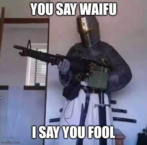 Are you a fool? | YOU SAY WAIFU; I SAY YOU FOOL | image tagged in crusader knight with m60 machine gun,memes,funny,guns | made w/ Imgflip meme maker