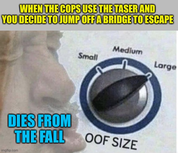 Oof size large | WHEN THE COPS USE THE TASER AND YOU DECIDE TO JUMP OFF A BRIDGE TO ESCAPE DIES FROM THE FALL | image tagged in oof size large | made w/ Imgflip meme maker