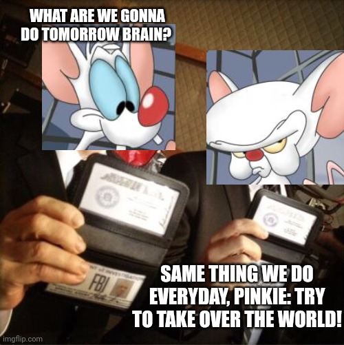 First this stream, then the world... | WHAT ARE WE GONNA DO TOMORROW BRAIN? SAME THING WE DO EVERYDAY, PINKIE: TRY TO TAKE OVER THE WORLD! | image tagged in fbi,why is the fbi here,pinkie and the brain,surrender,immediately | made w/ Imgflip meme maker