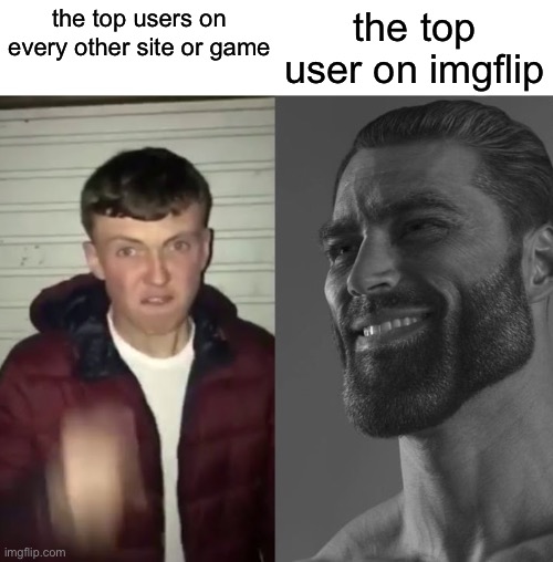 so far the first and only top user i've seen that isn't a rude and aggressive tryhard | the top user on imgflip; the top users on every other site or game | image tagged in average fan vs average enjoyer,who_am_i | made w/ Imgflip meme maker