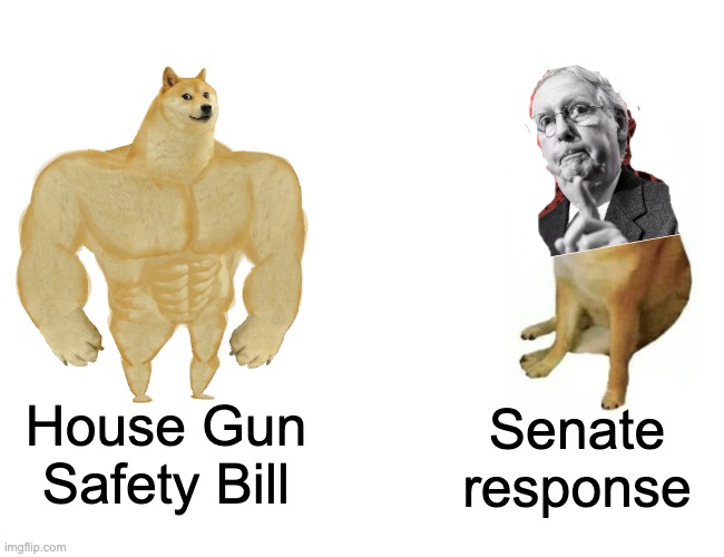 Can we find 12 Republican Senators with a sense of decency? | Senate response; House Gun Safety Bill | image tagged in memes,buff doge vs cheems,guns,congress,senate,gop | made w/ Imgflip meme maker