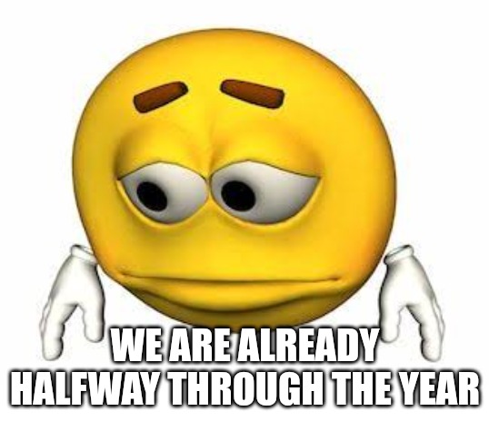 Sad stock emoji | WE ARE ALREADY HALFWAY THROUGH THE YEAR | image tagged in sad stock emoji | made w/ Imgflip meme maker