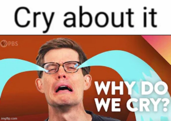 bro cried about it | made w/ Imgflip meme maker