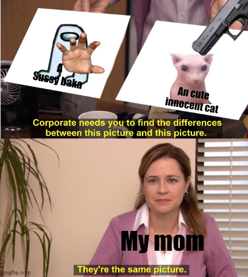 THE SUSSY BAKA HAS KILLED THE CAT | A Sussy baka; An cute innocent cat; My mom | image tagged in memes,they're the same picture | made w/ Imgflip meme maker